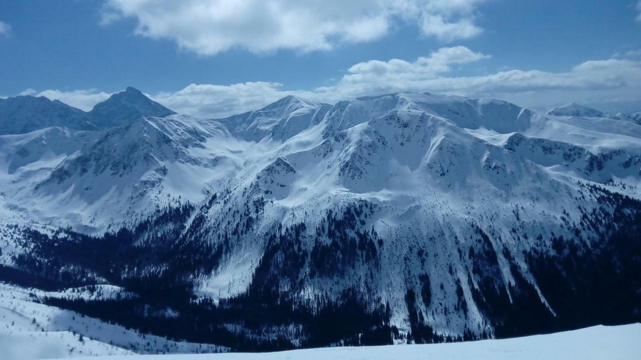 Skalnica Pokoje Goscinne - Sniadania Mozliwe Do Zakupu W Sasiednim Obiekcie Bukowina Tatrzanska Exterior photo